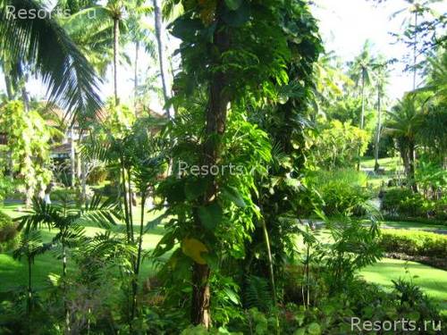 Melia Bali - The Garden Villas 54